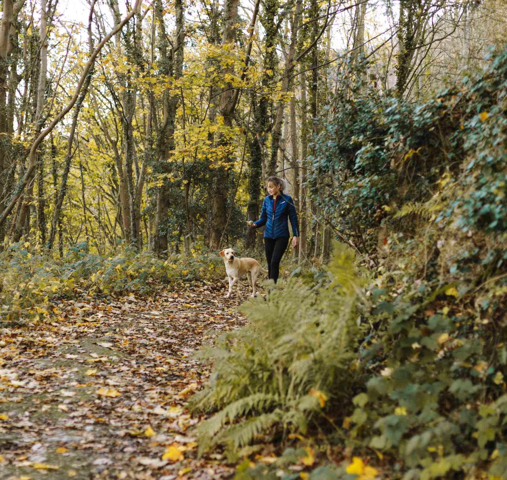 A woman and her dog stroll together through a serene forest, surrounded by tall trees and dappled sunlight