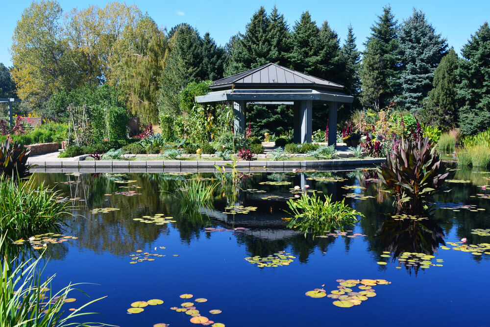 Discover Denver’s Cherry Creek Shopping District 3 Scenic garden with a gazebo and water lilies.