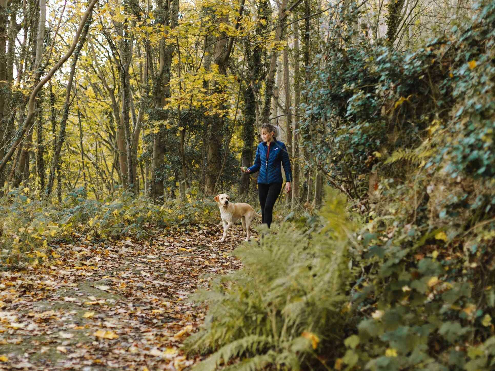 Your Adventure Guide to Cherry Creek Trail 2 A woman and her dog stroll together through a serene forest, surrounded by tall trees and dappled sunlight